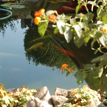 Çiftlik konaklama Urlaub 